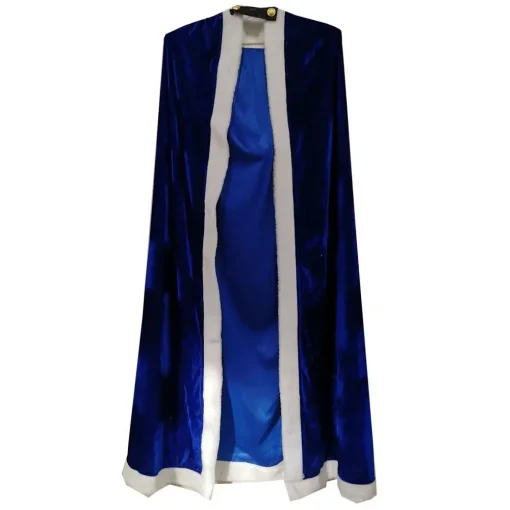 Fate/stay night cosplay costume