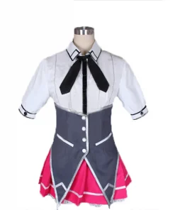 Fate/stay night cosplay costume