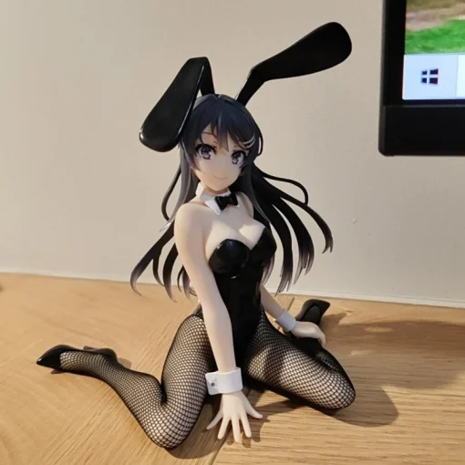 Anime Figures and Toys