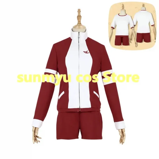 Cosplay costume