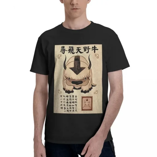 Avatar: The Last Airbender T-Shirt  – Premium Anime Tee