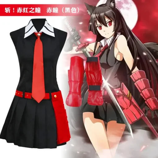 Akame Ga Kill cosplay costume