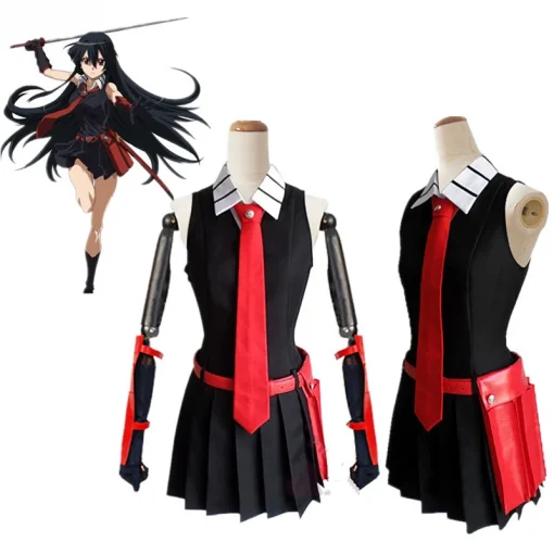 Akame Ga Kill cosplay costume