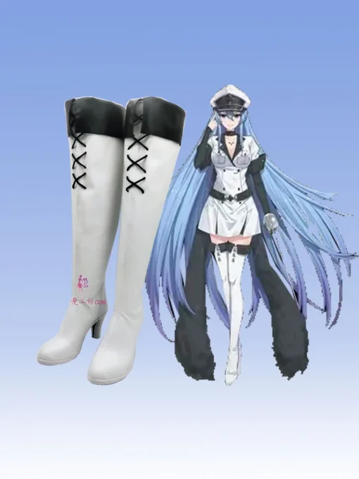 Akame Ga Kill cosplay costume