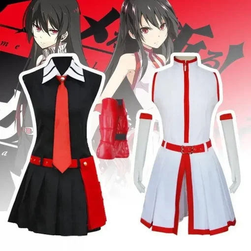 Akame Ga Kill cosplay costume