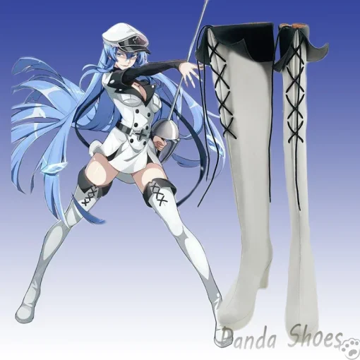 Akame Ga Kill cosplay costume