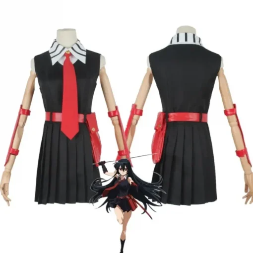 Akame Ga Kill cosplay costume