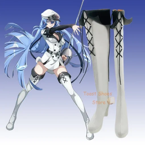 Akame Ga Kill cosplay costume