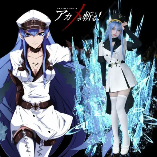 Akame Ga Kill cosplay costume