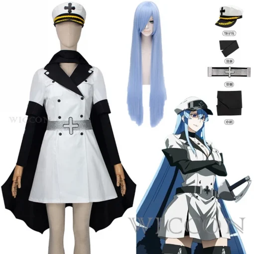 Akame Ga Kill cosplay costume